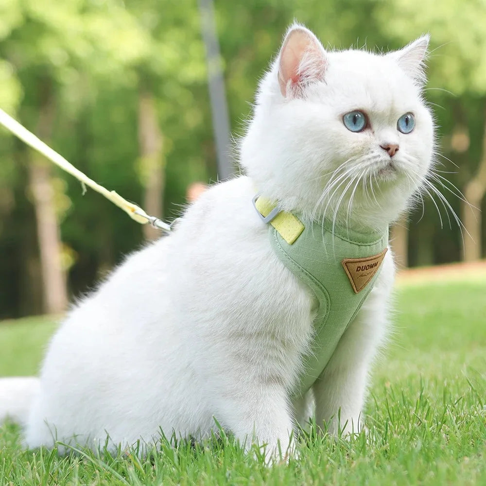 Pet Products for Cats Detachable Collar Pets Kittens Harness Accessories Goods Cute Kitten Animal Animals Stuff Dogs Tag Collars