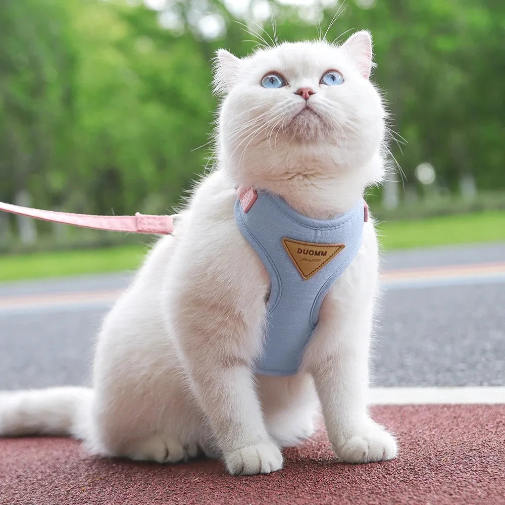 Pet Products for Cats Detachable Collar Pets Kittens Harness Accessories Goods Cute Kitten Animal Animals Stuff Dogs Tag Collars