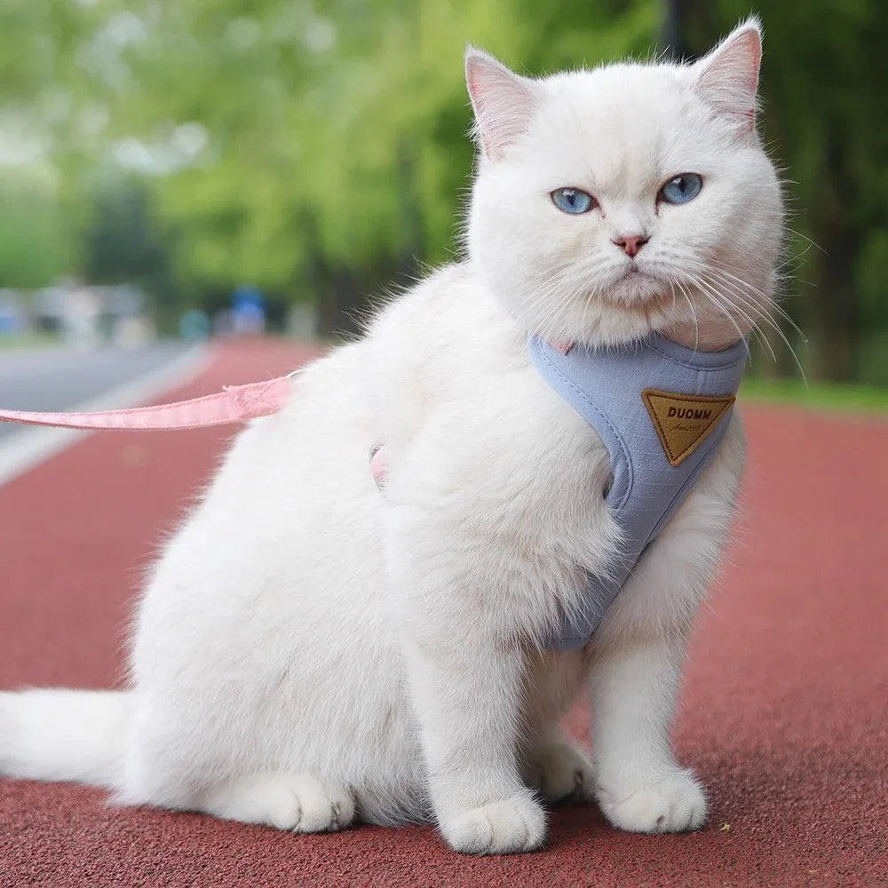 Pet Products for Cats Detachable Collar Pets Kittens Harness Accessories Goods Cute Kitten Animal Animals Stuff Dogs Tag Collars